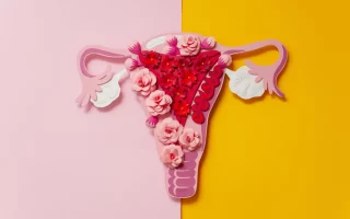 image illustrant un uterus avec des fleurs et un fond jaune et rose pour l'article les symptômes de l'endométriose